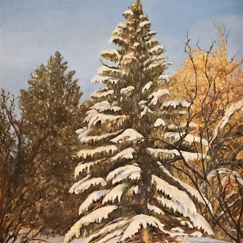 Winter Evergreen 16x20Oil on Linen